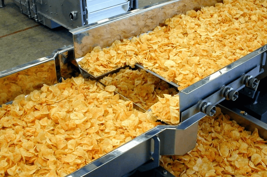 Potato chips on a PFI Distribution Conveyor System.