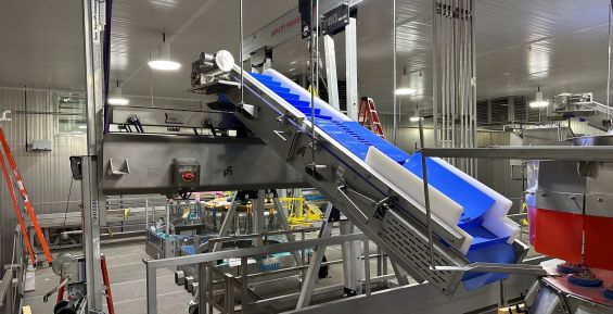 Raw dough on a PFI PURlift conveyor