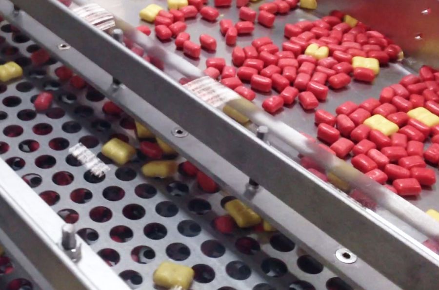 Gum being sized on a PFI vibratory sizing conveyor