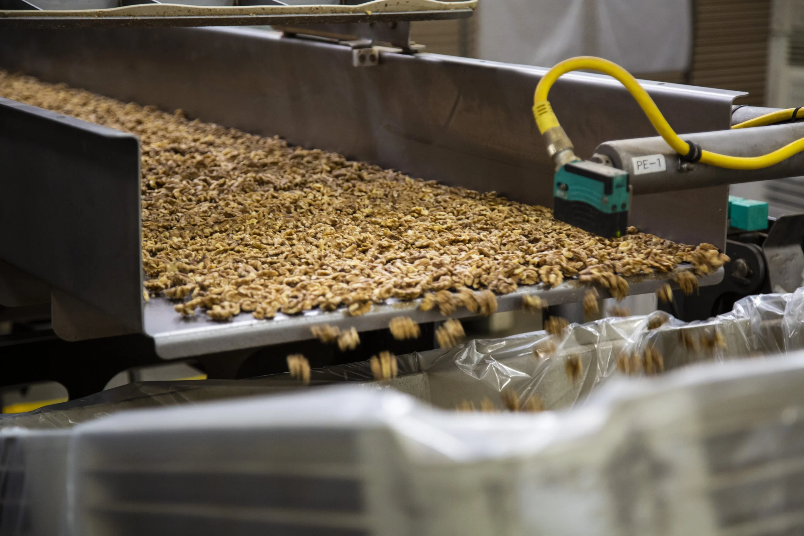 Conveyor Belt