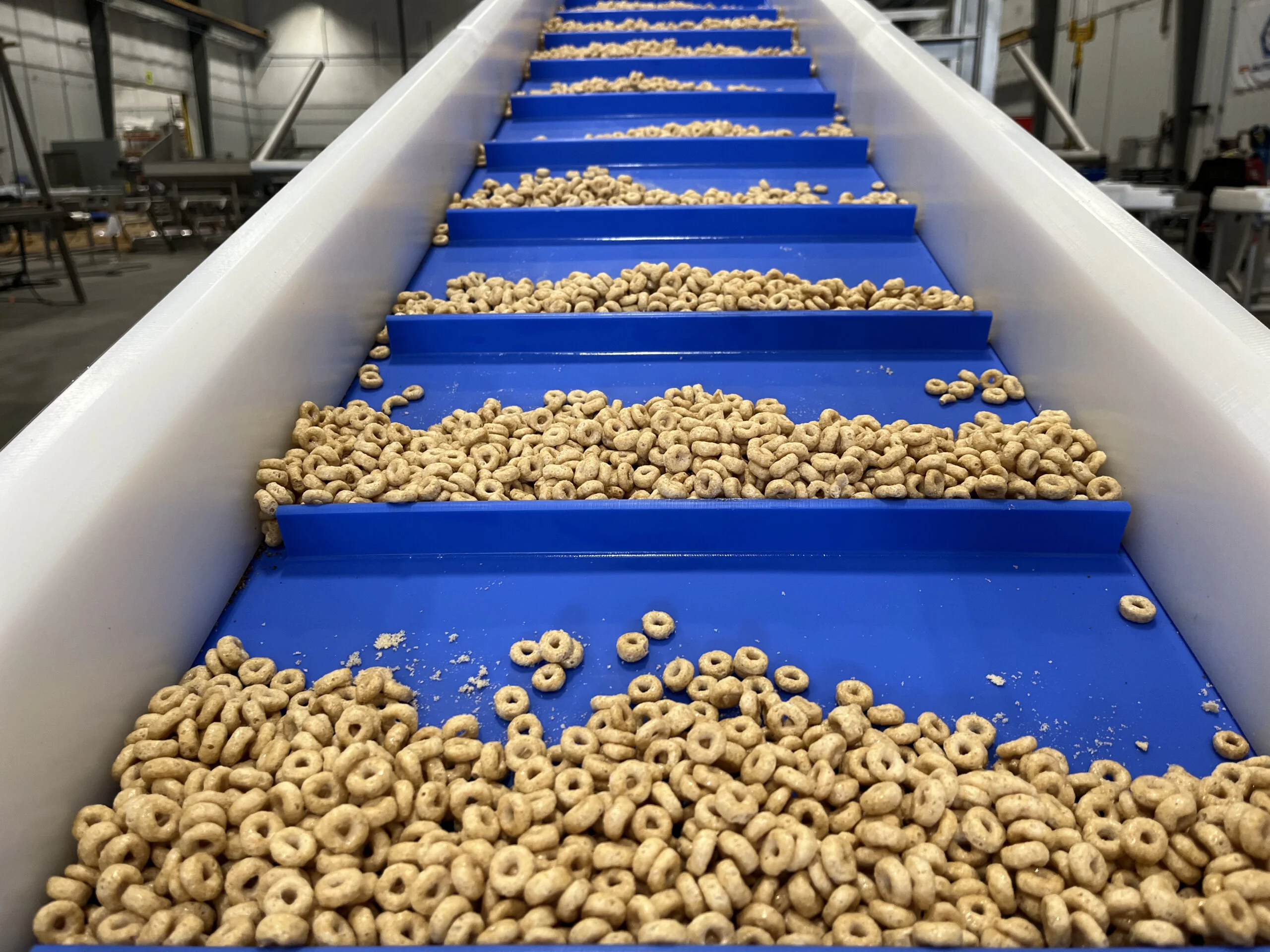 Ready to eat cereal being conveyed on a PFI incline conveyor.