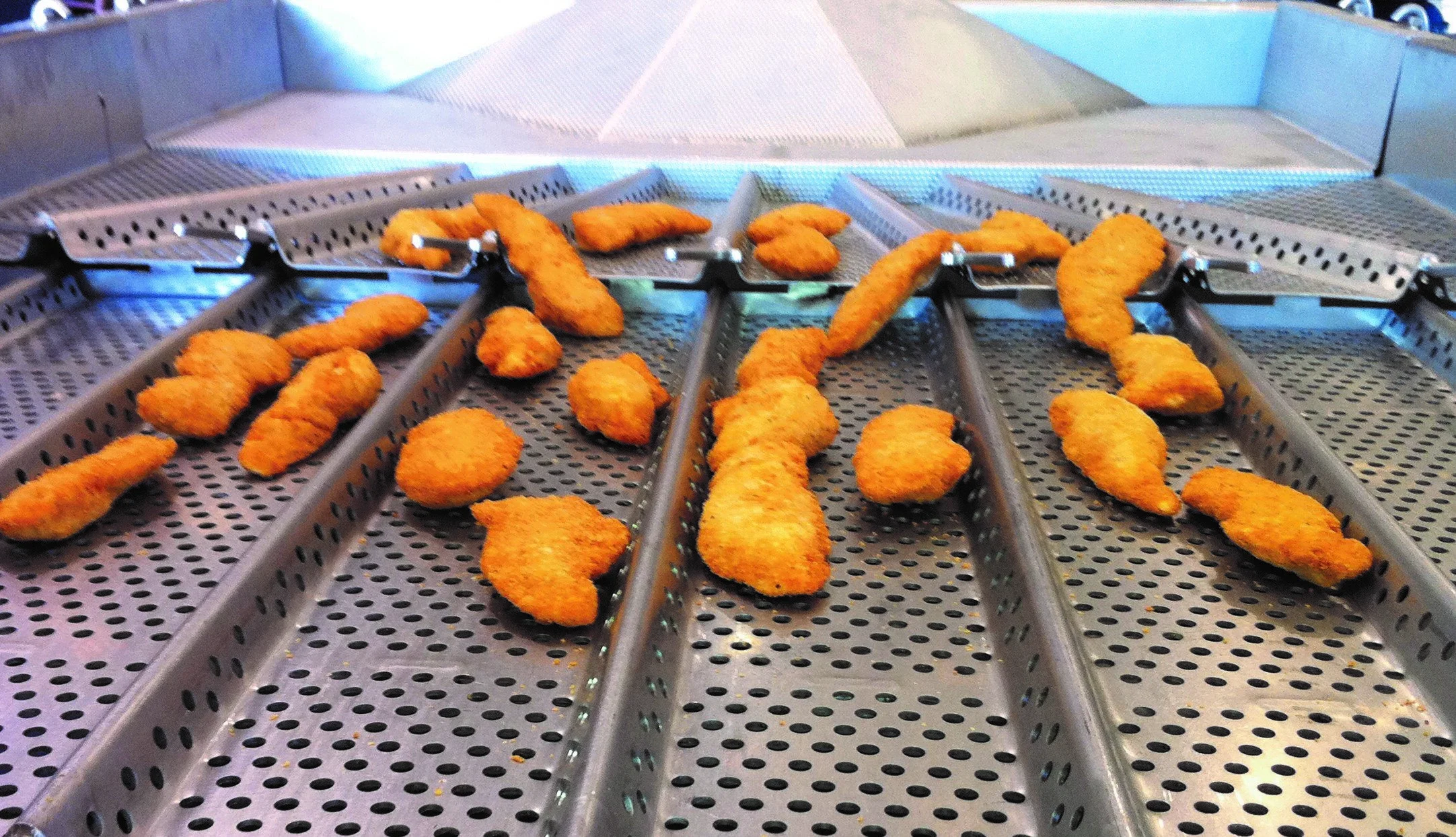 A vibratory conveyor evenly distributes frozen chicken nuggets across the processing line.