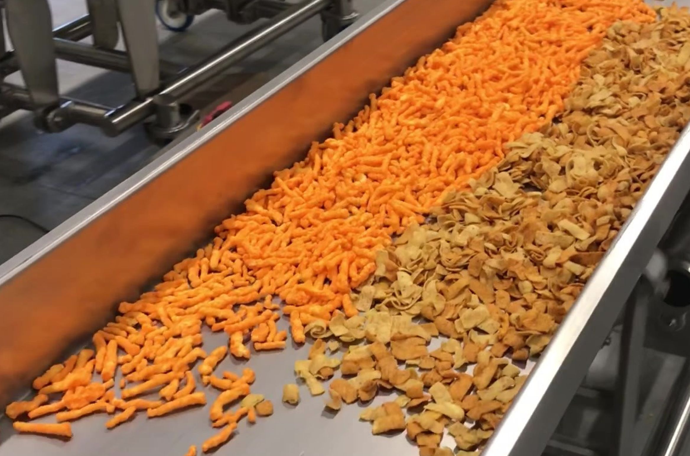 Snack food mix on a PFI horizontal motion conveyor.