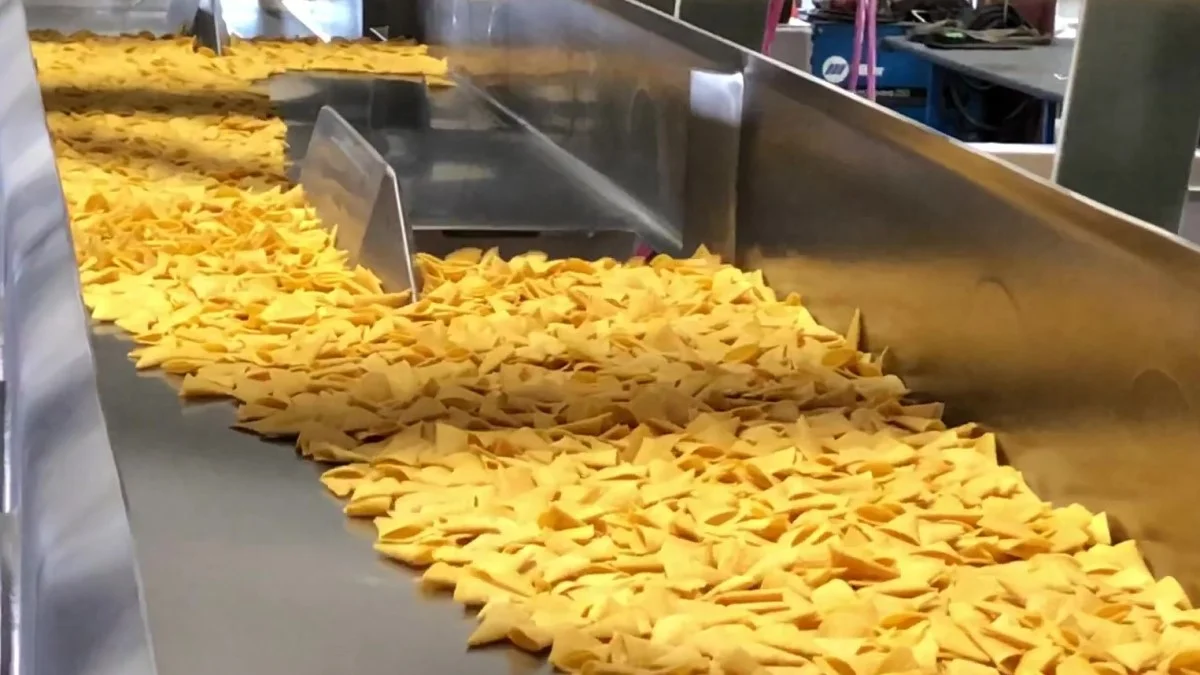 Vibratory conveyor transporting corn snacks through a processing line