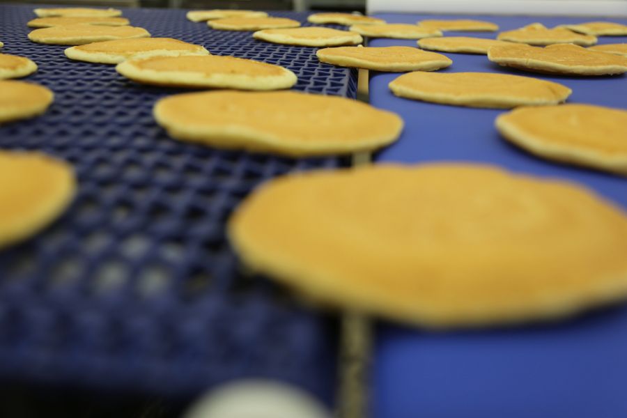 Belt, Horizontal Motion, & Vibratory Conveyors PFI