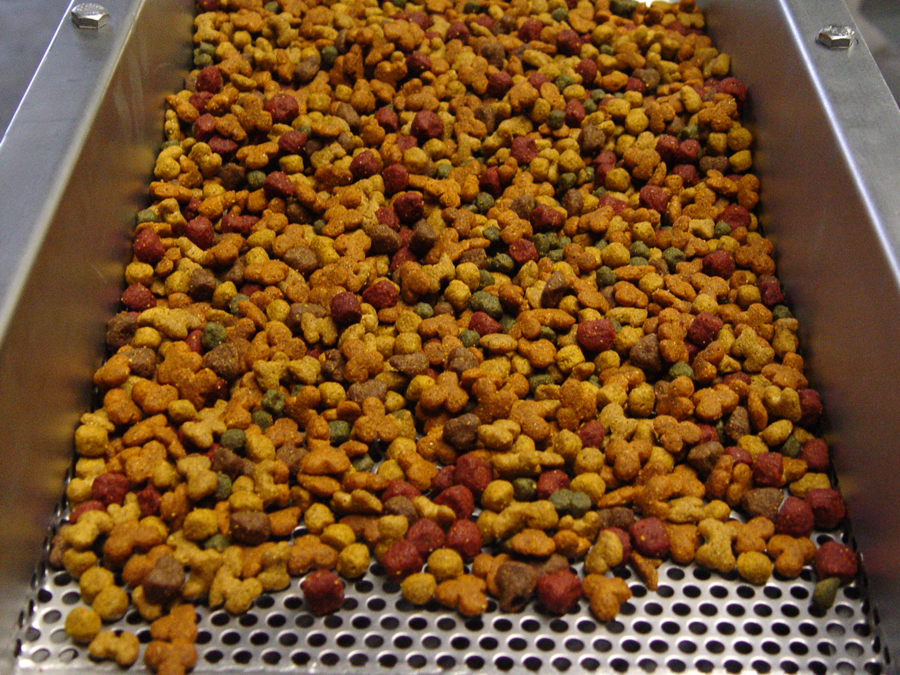 Dry pet food on a PFI vibratory screening conveyor