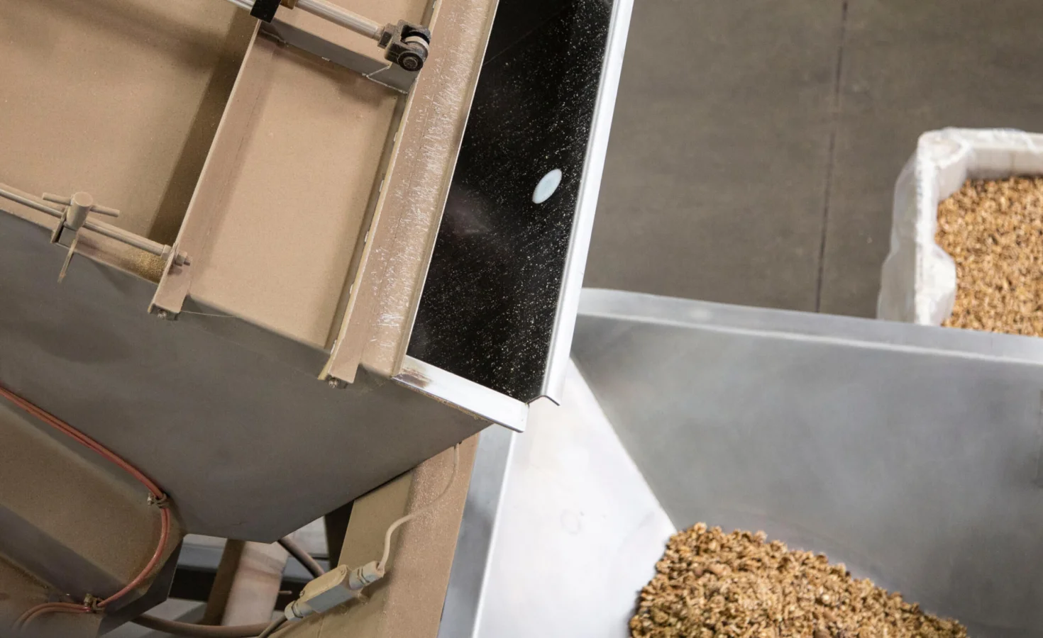 Walnuts being dumped onto a processing line by PFI equipment.