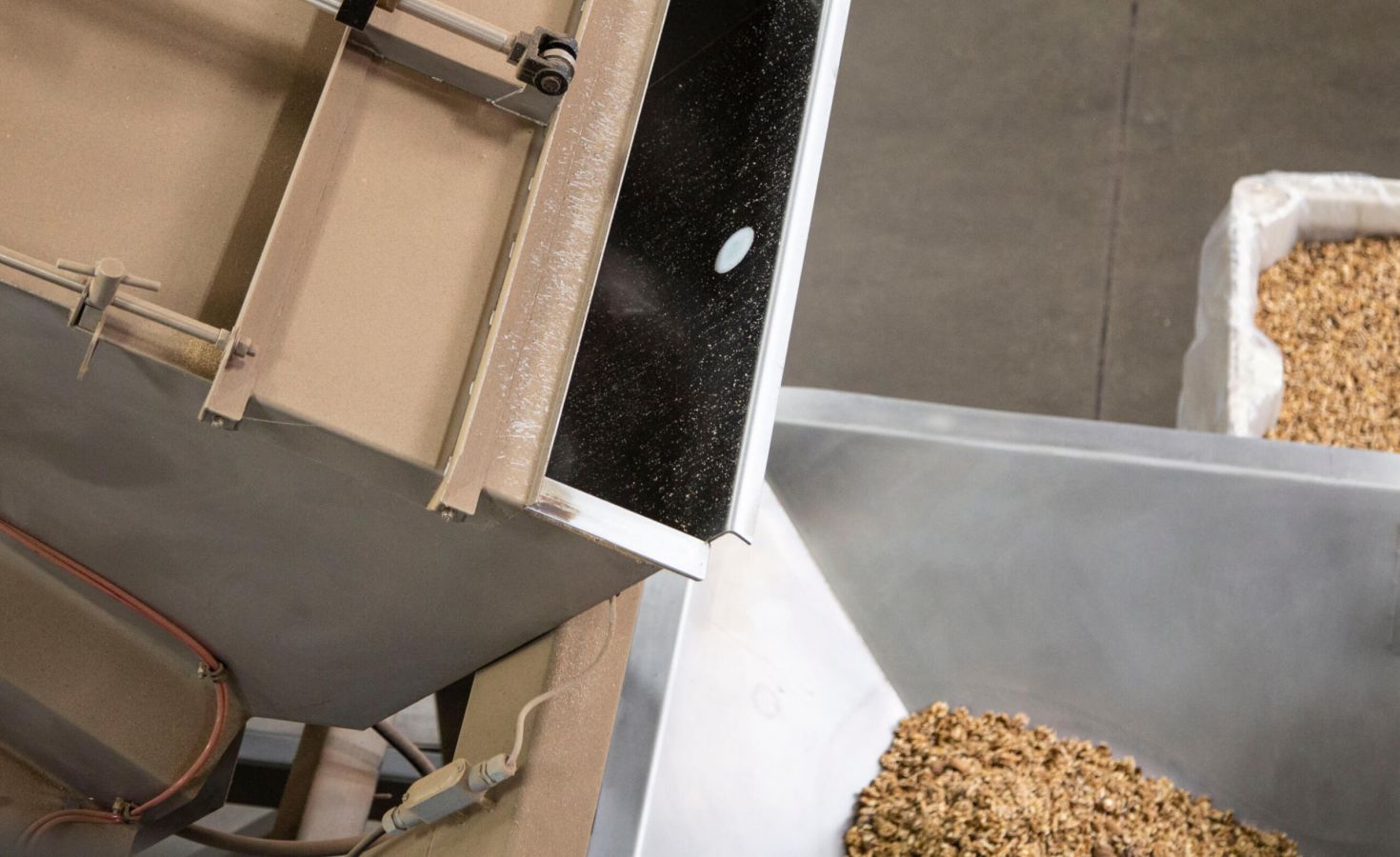 Walnuts being dumped onto a processing line by PFI equipment.