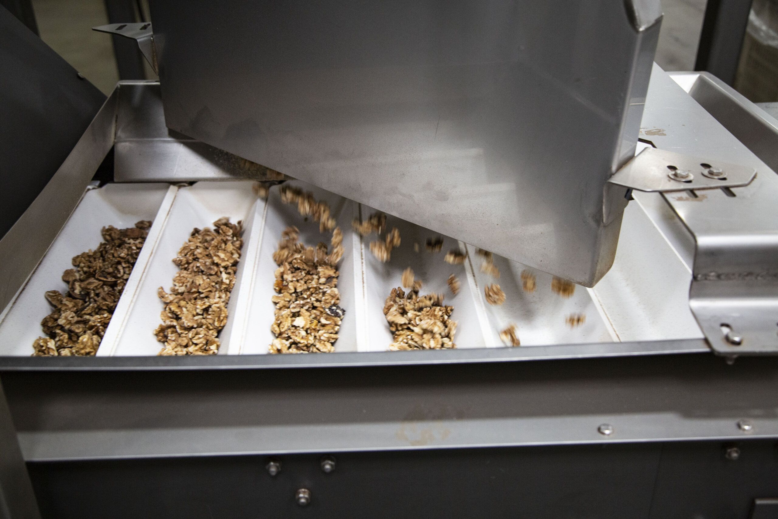 Bucket Elevator Conveyor PFI