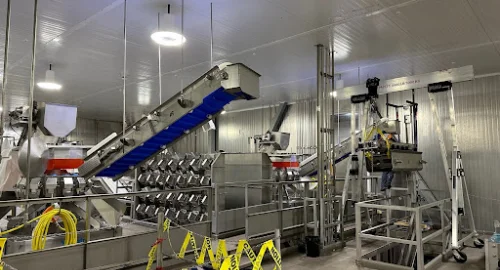 food processing