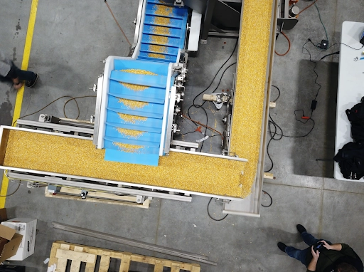 PurMotion Loop from above