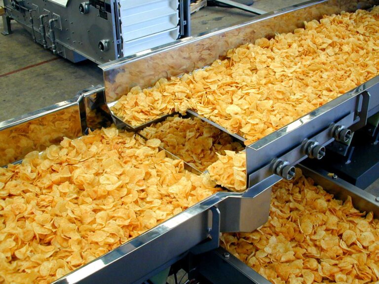 A distribution system as part of a food processing line for potato chips Blog Category: Automation, Buying Equipment, Sanitary Design, Value-Added