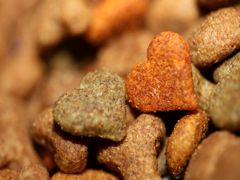 Trends in pet food processing focus on higher-quality products.