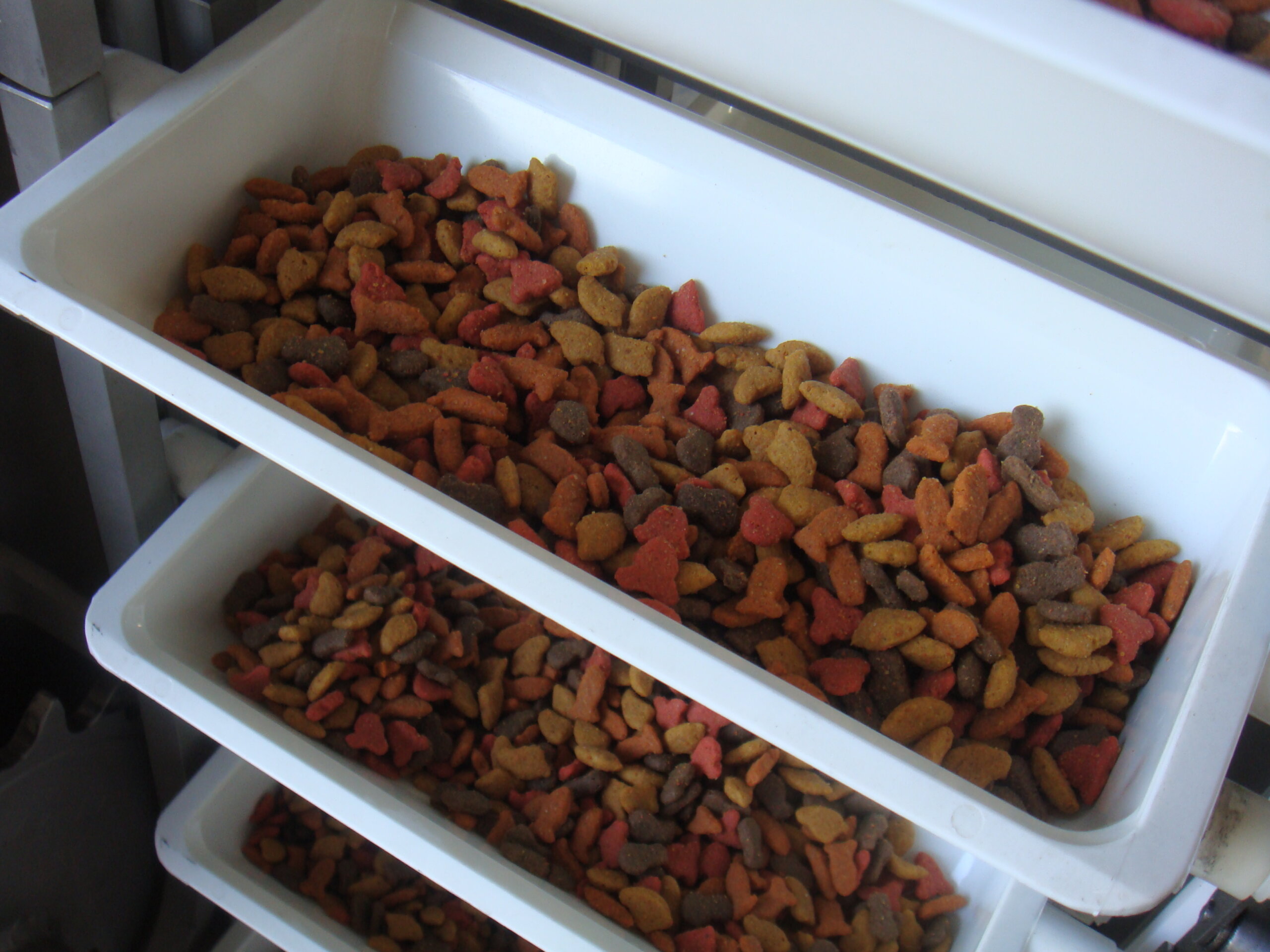 A bucket conveyor is used to convey pet food during processing.