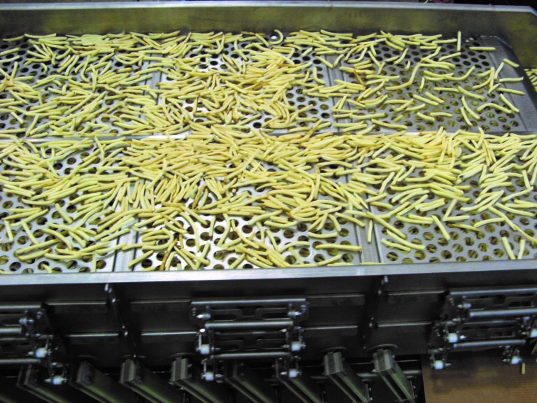A PFI vibratory conveyor grading shoestring fries
