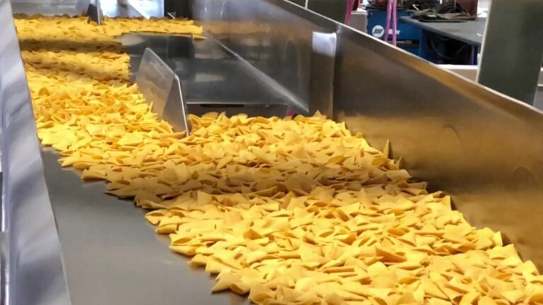 Vibratory conveyor transporting corn snacks through a processing line