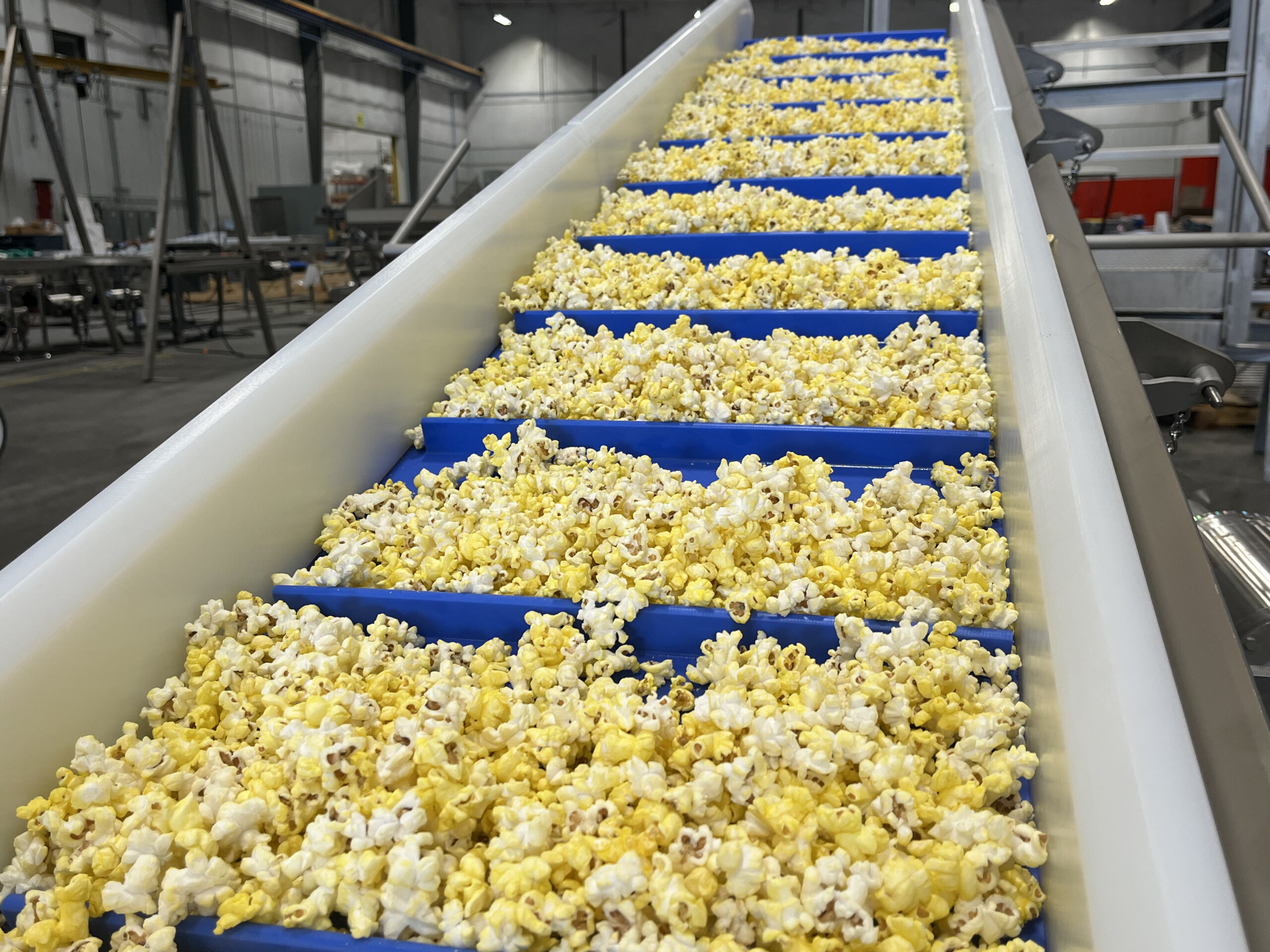 Popcorn traveling up an inclined belt conveyor
