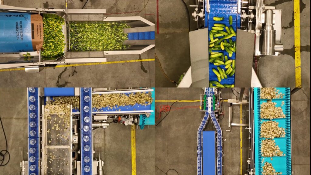 Pickle processing system designed, manufactured, and installed by the Grote Company Family of Brands for Grillo’s Pickles.